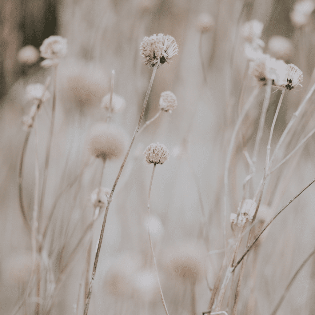 Comment Reconnaître un Véritable Médium ? 5 Indices Clés