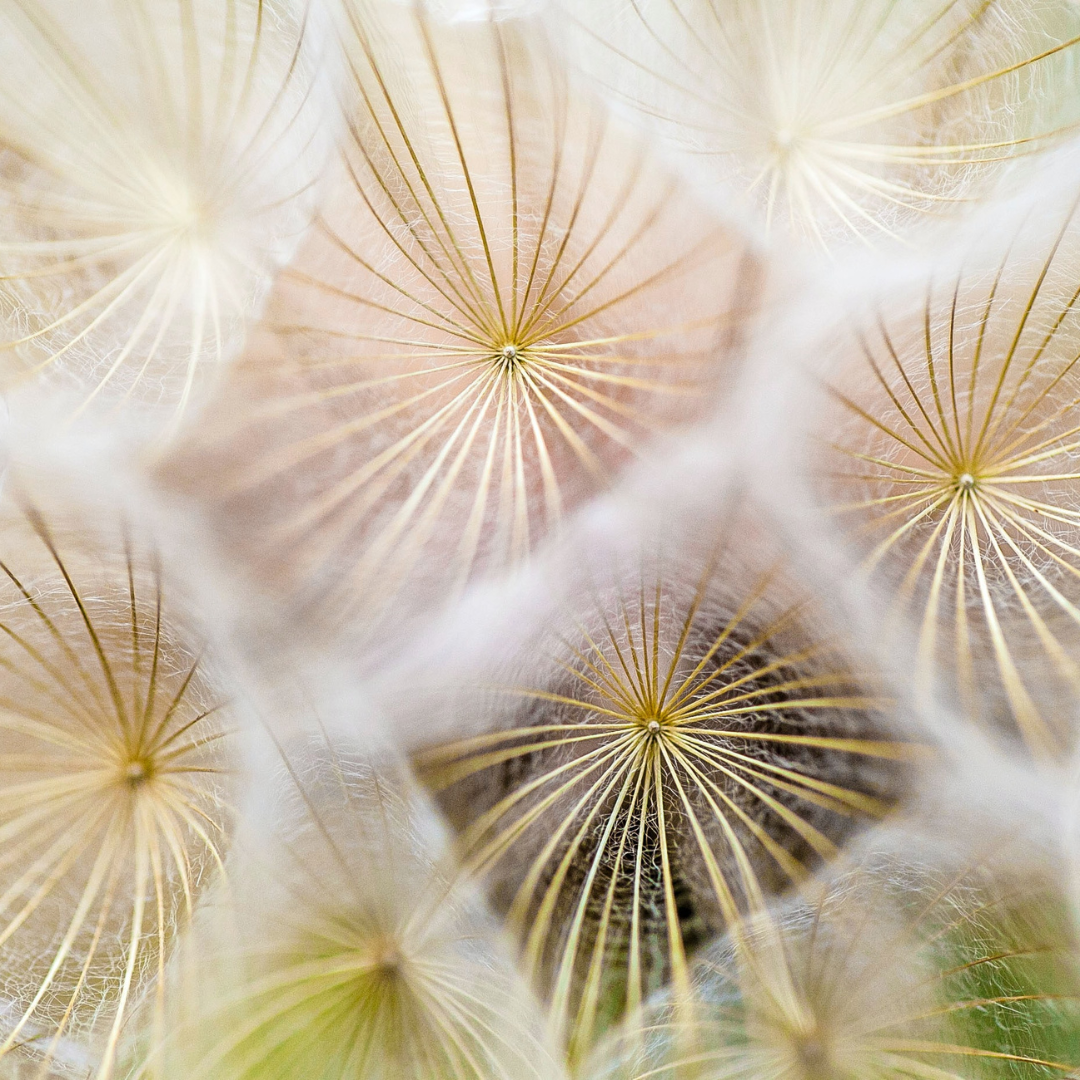 Lire la suite à propos de l’article Bien choisir son médium : les critères essentiels