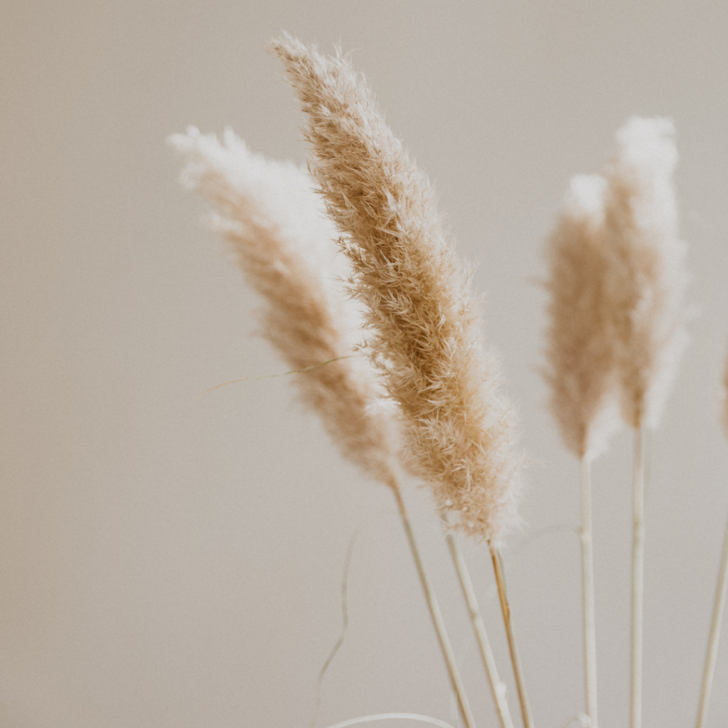 Synchronicité et Coïncidences : Comment Reconnaître les Signes de l&rsquo;Univers ?