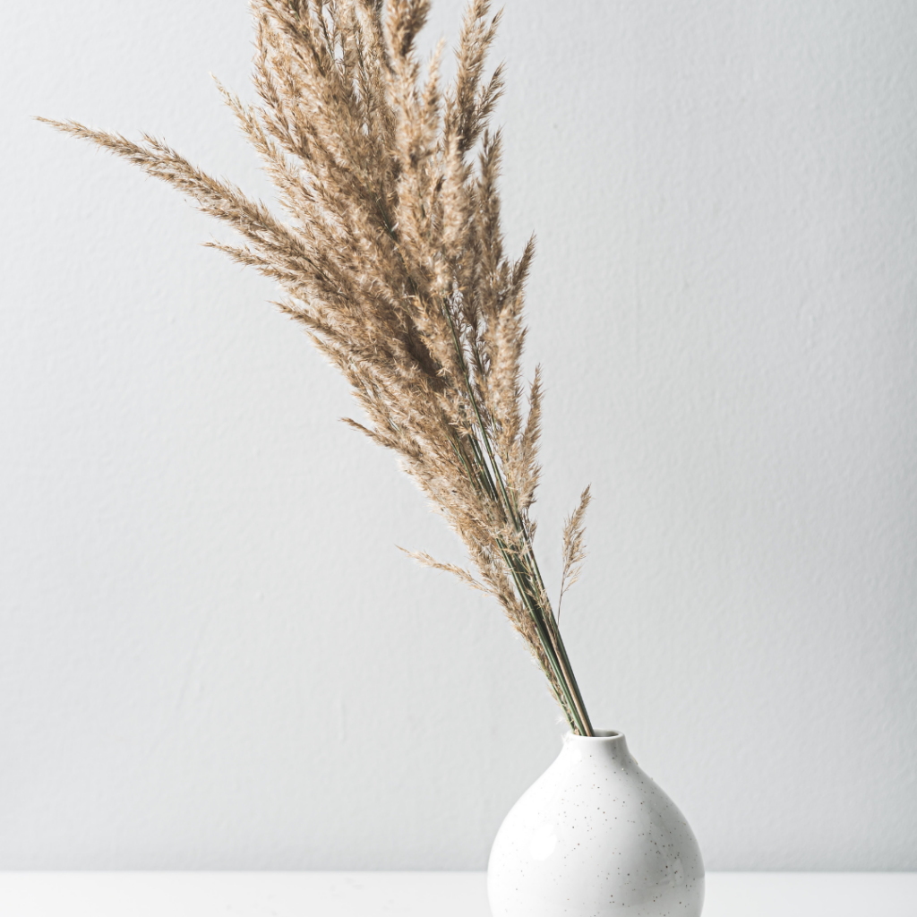 Les constellations familiales : une clé pour libérer les mémoires transgénérationnelles