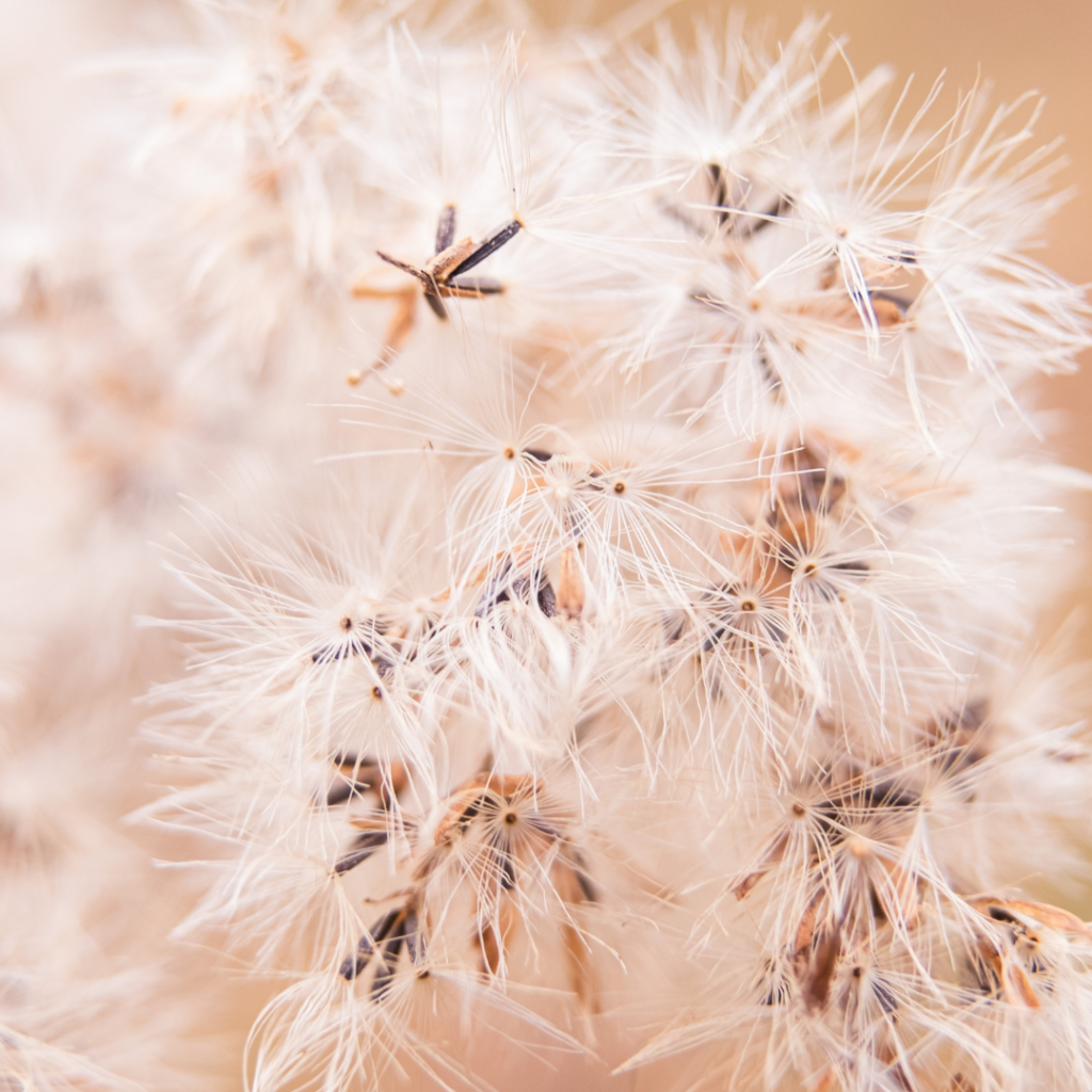Élever son énergie : 10 clés pour vibrer plus haut au quotidien